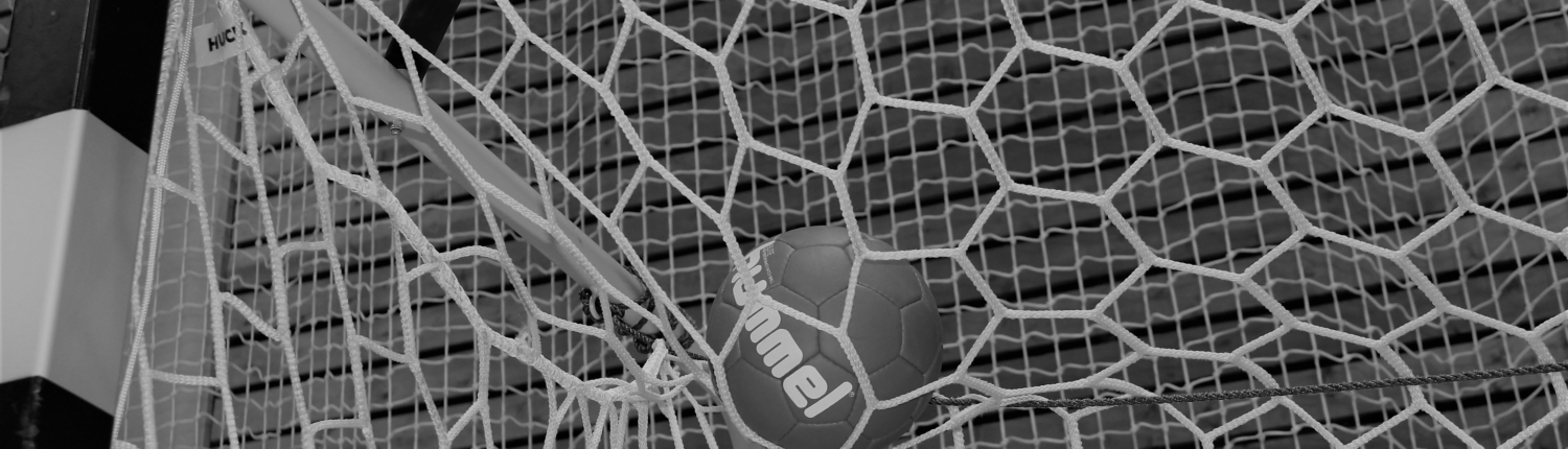 Bild Handball im Netz