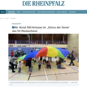 Bild Auszug Presseartikel