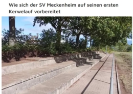 Bild aus Presseartikel