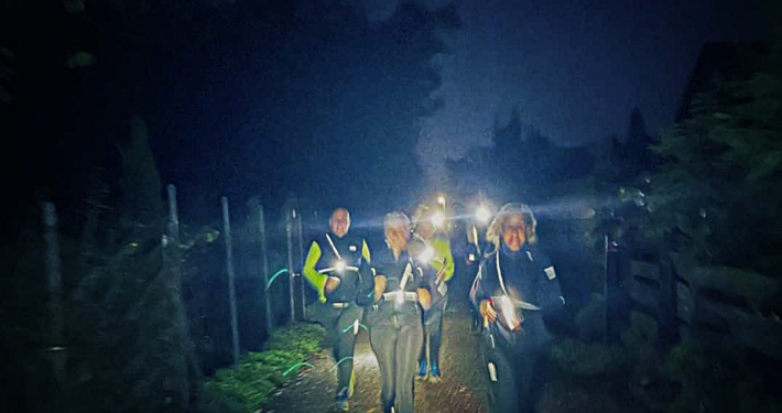 Bild Laufgruppe bei Nacht