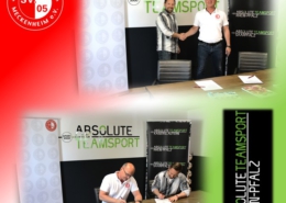 Bild Partnerschaft Teamsport