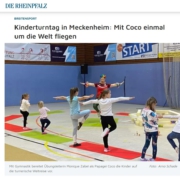 Artikel aus der Presse